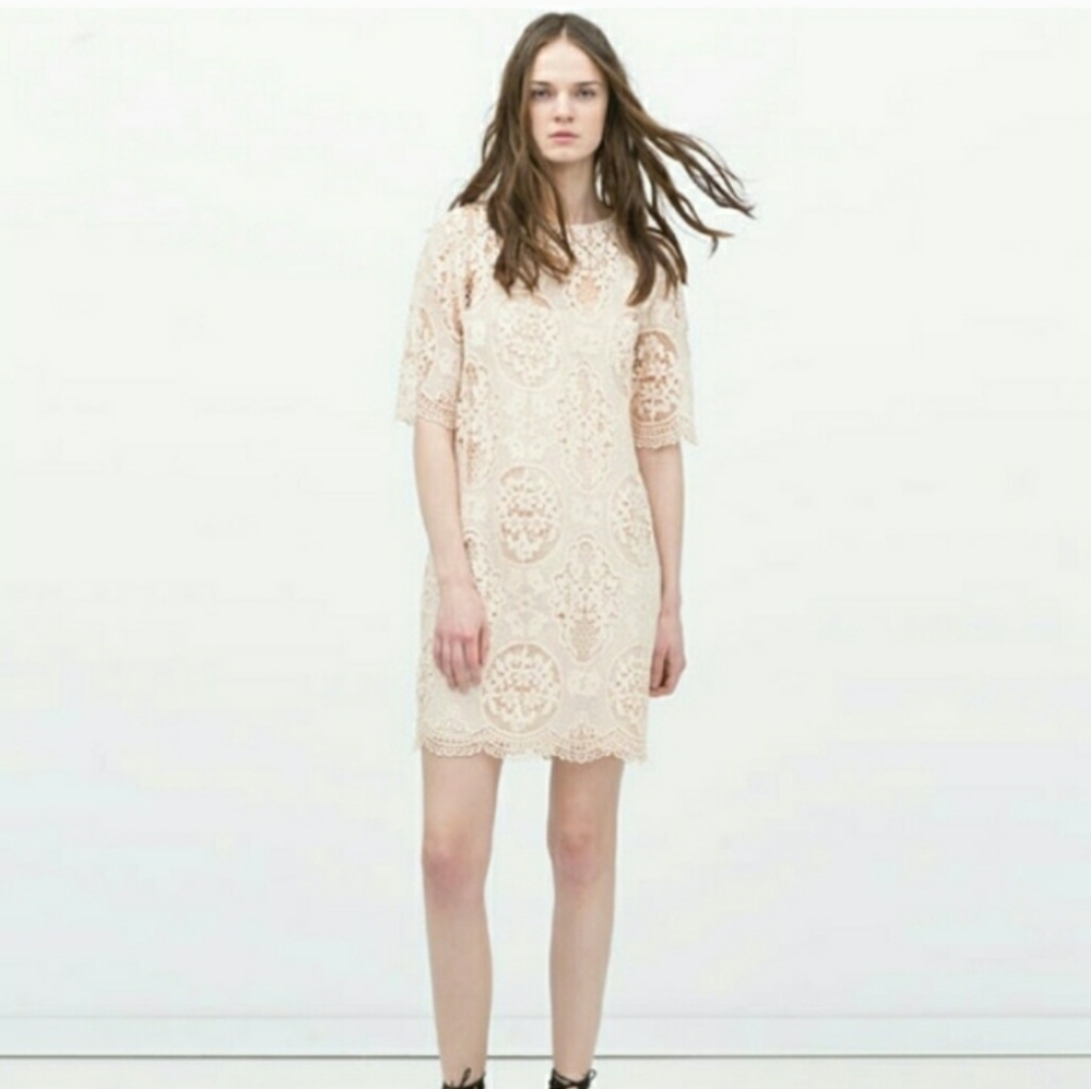 Zara Nude Pink Lace Dress - Picture 3 of 14